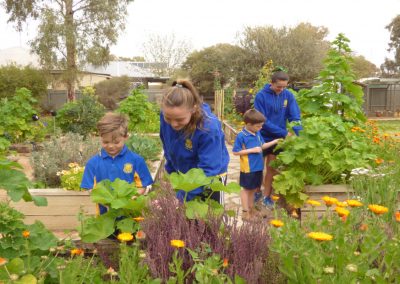 Four children doing gardening at the school's garden